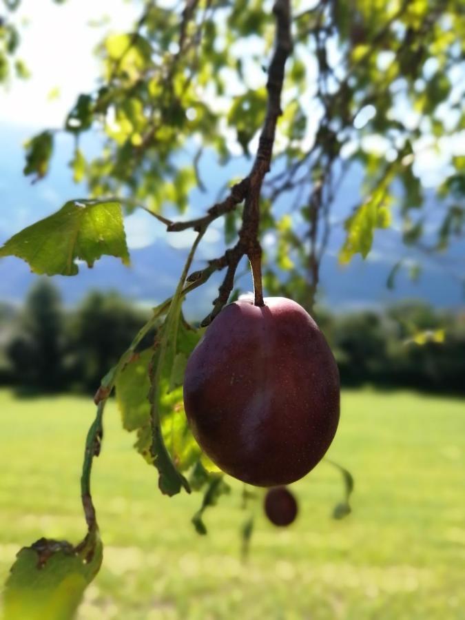 Saderhof Villa Brixen Buitenkant foto